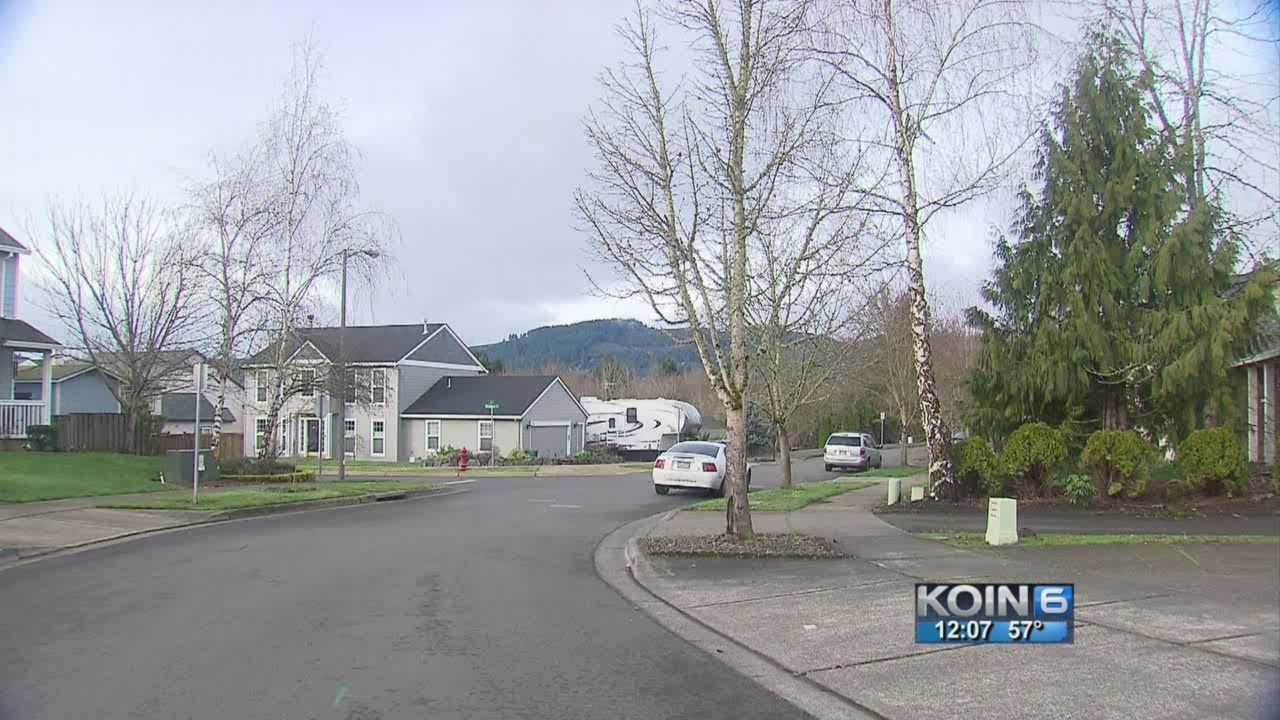 Mysterious Forest Grove noise puzzles neighbors
