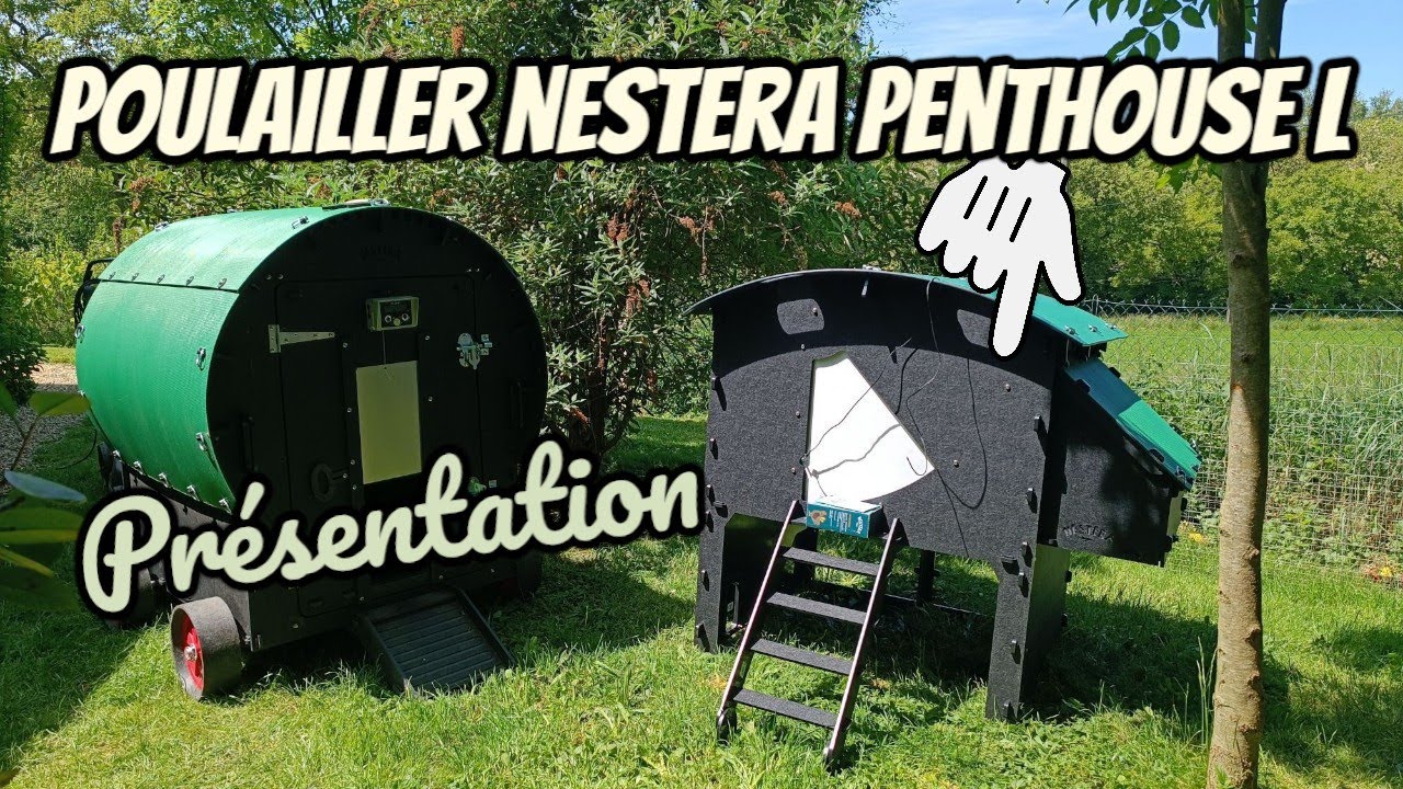 poulailler pvc  NESTERA penthouse large présentation
