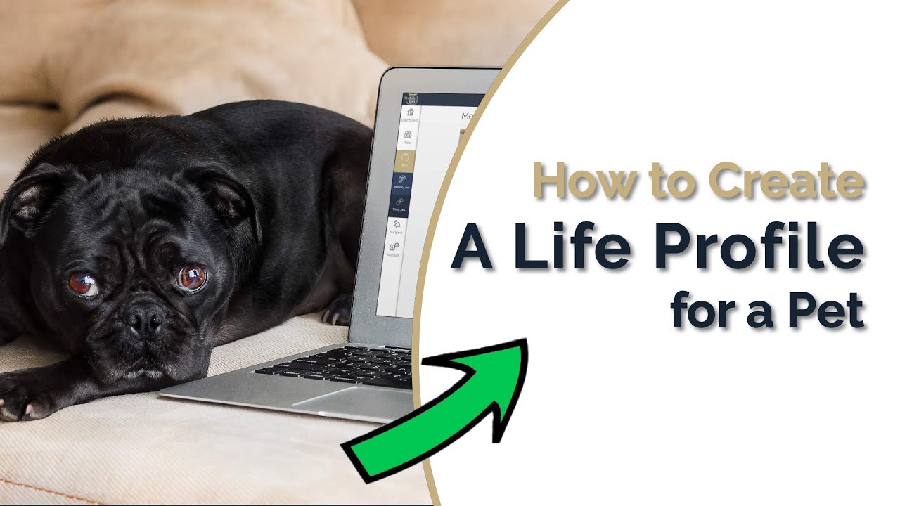 How to Create a Pet Profile | My LifeJars