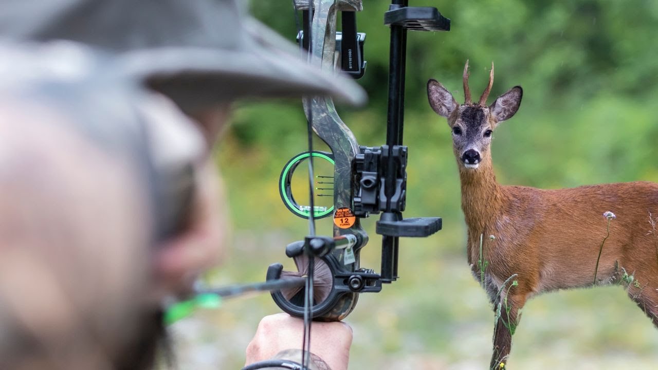Can YOU hunt deer with a bow?