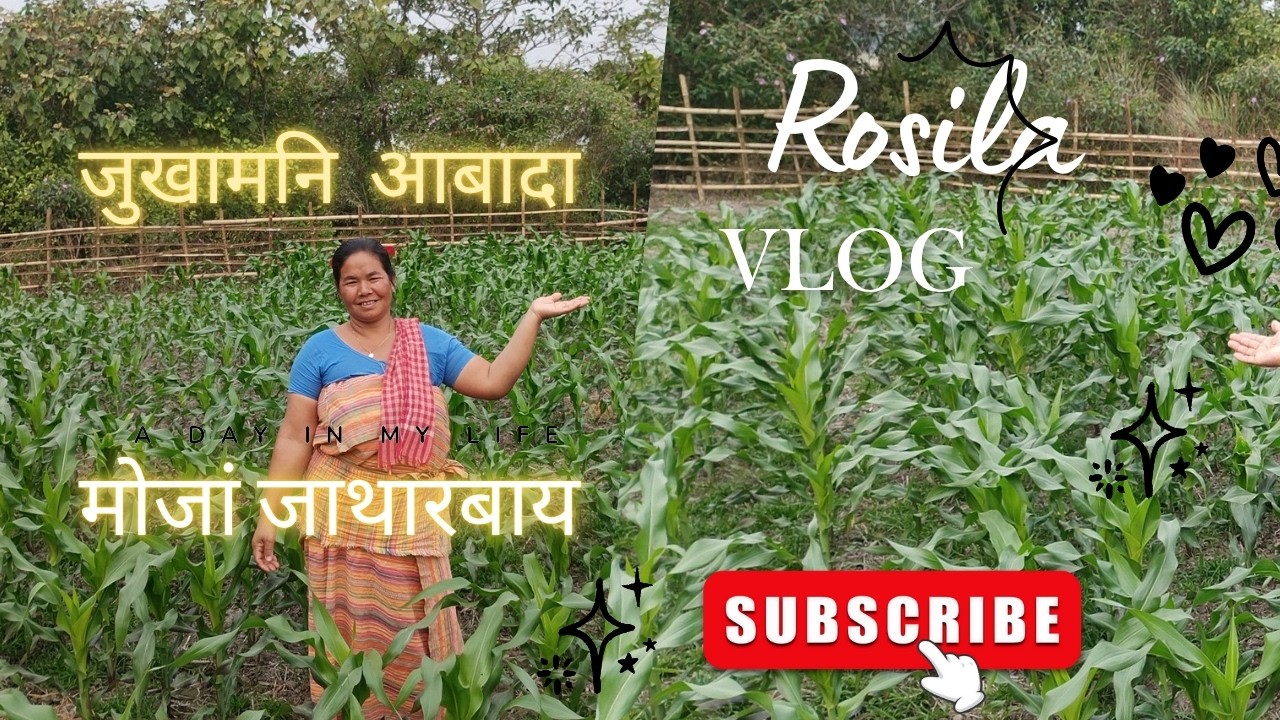 जुखाम🌽 (Corn🌽) गायनायखौ नायफैदों