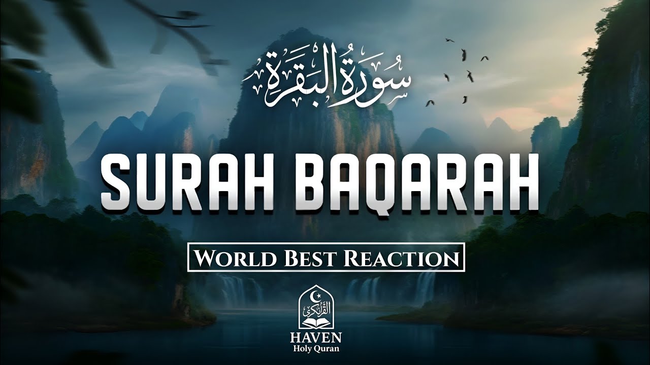 Surah Al-Baqarah (سورة البقرة) | World Best Quran Recitation for Peace, Protection & Blessings |