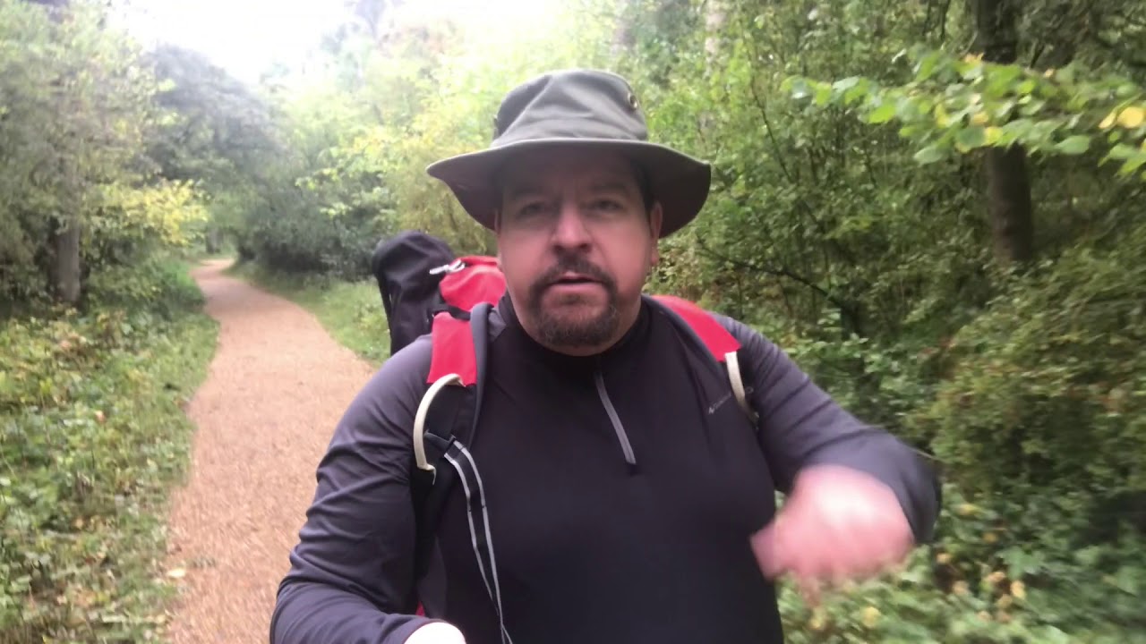 Channel Introduction to DK Goes Wild