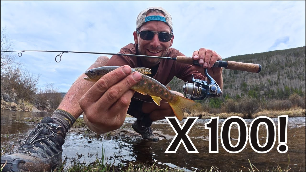 A Day in the Life | Stream Fishing for Trout as a Beginner | The Harsh Reality