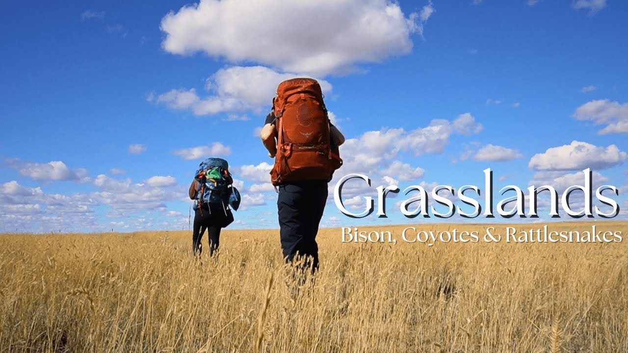 GRASSLANDS | Camping with Bison, Coyotes & Rattlesnakes