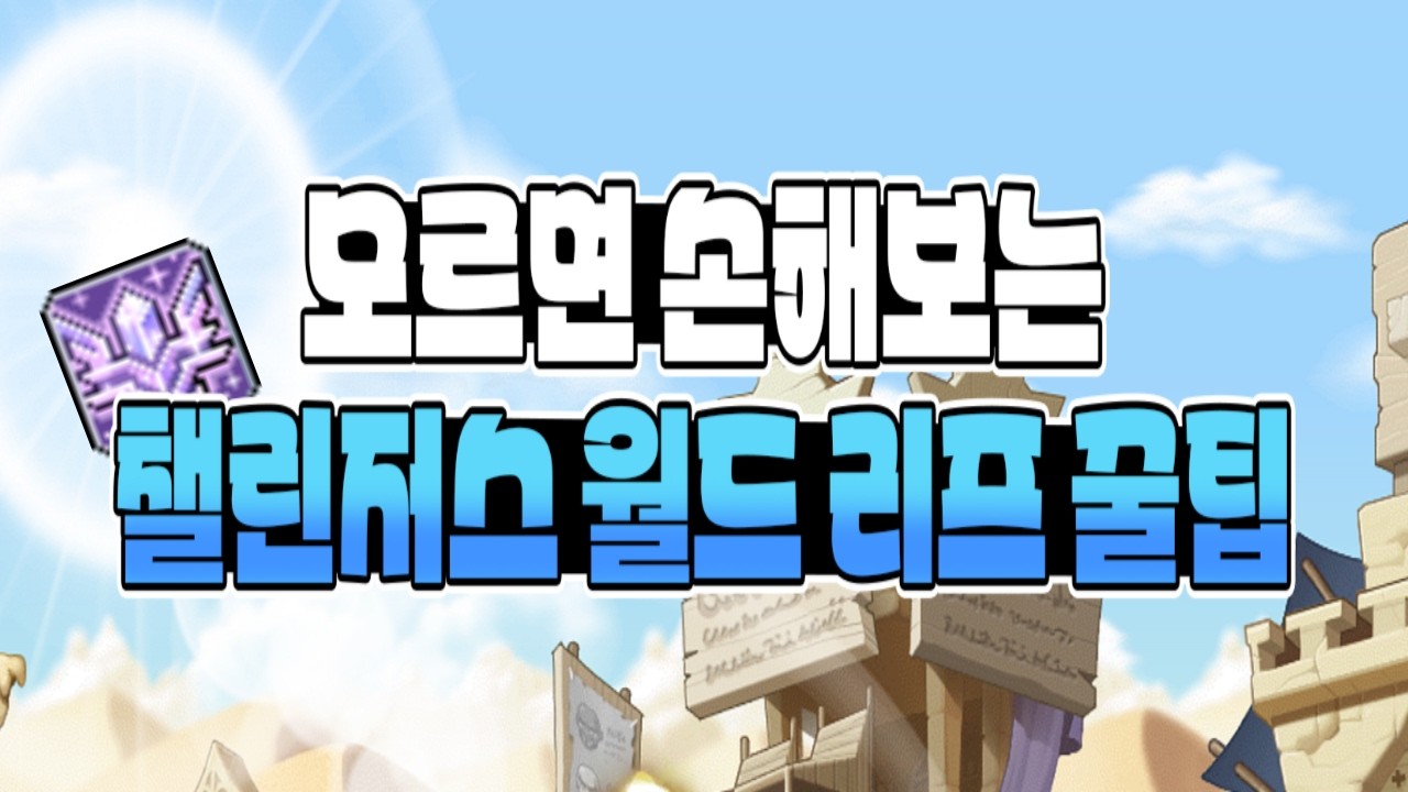 챌린저스 월드 리프 주의 사항 + 꿀팁 [메이플]