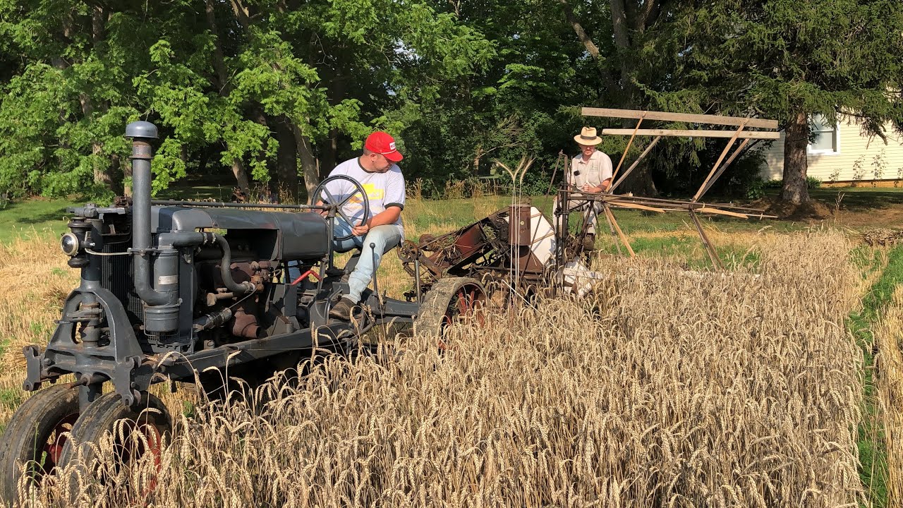 Wheat , start to finish.