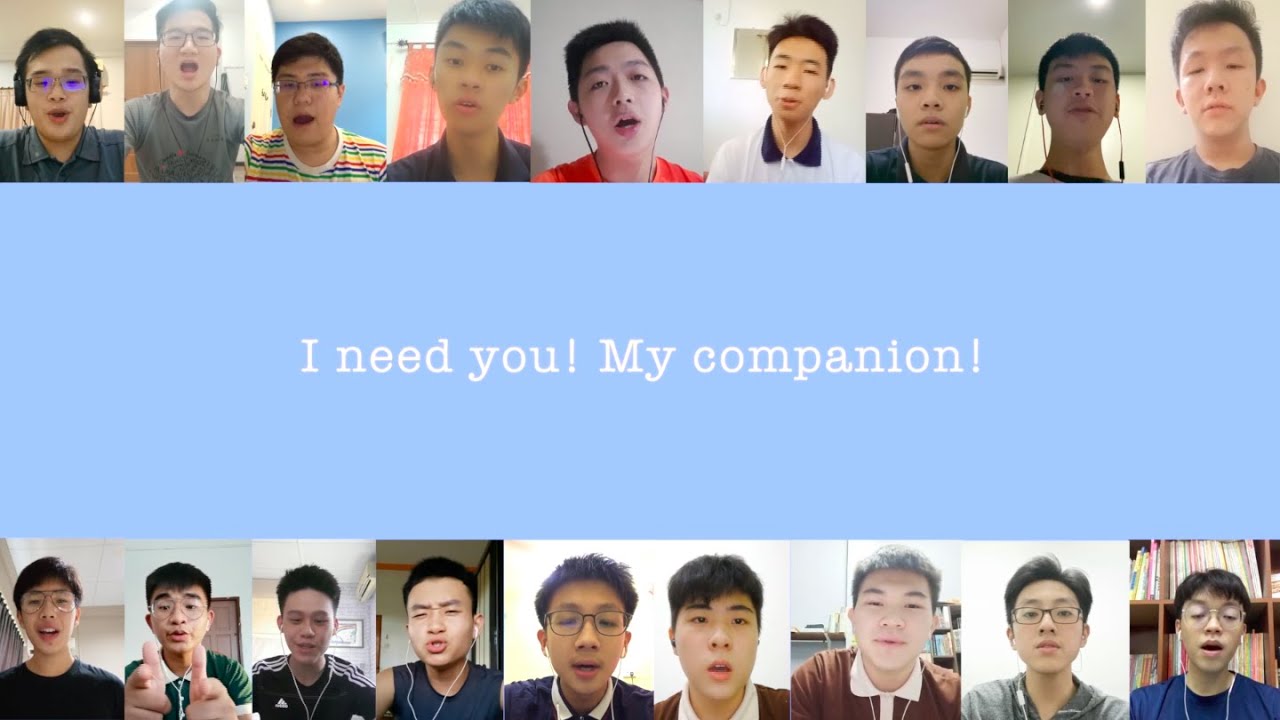 Be My Companion
