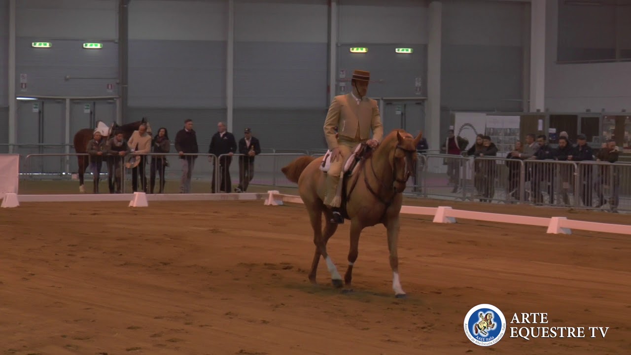 AAEE Italia - Campionato Italiano Doma Vaquera 2018 - 1&deg; Tappa - Roberto Settimi