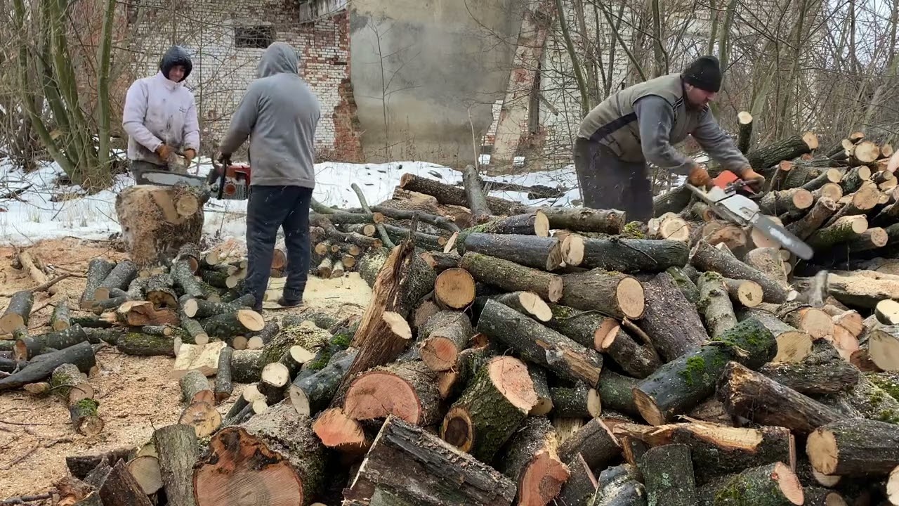 Extreme Forest Work You Haven’t Seen Before