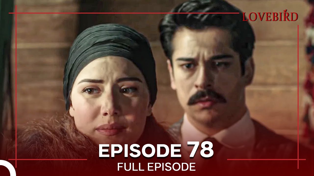 Lovebird Episode 78