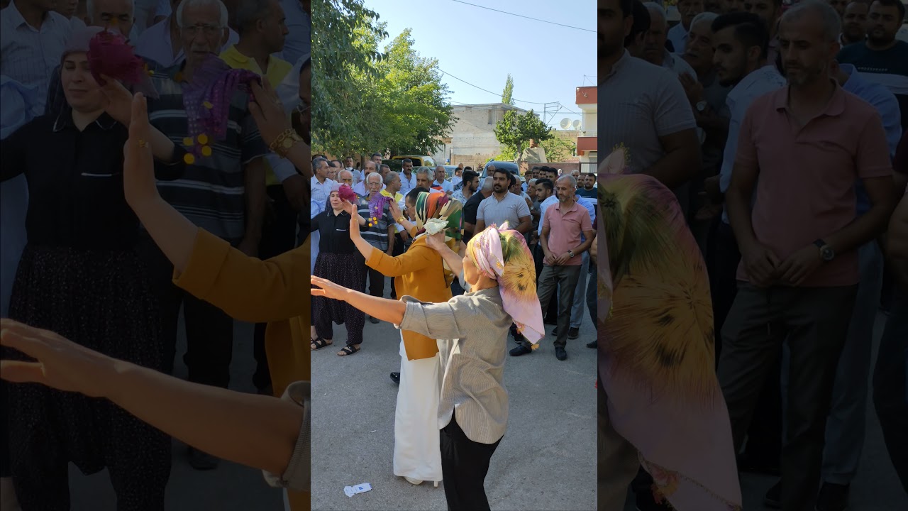 Kilis Musabeyli Hüseyinoğlu Köyü Hasan&Büşra Düğün karşılama 👍