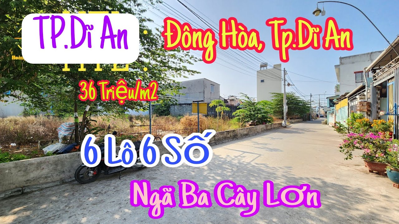 Bán 6 Lô Đất Đông Hòa Dĩ An (1931) Ngã Ba Cây Lơn, Làng Đại Học, Chợ Đông Hòa 300m