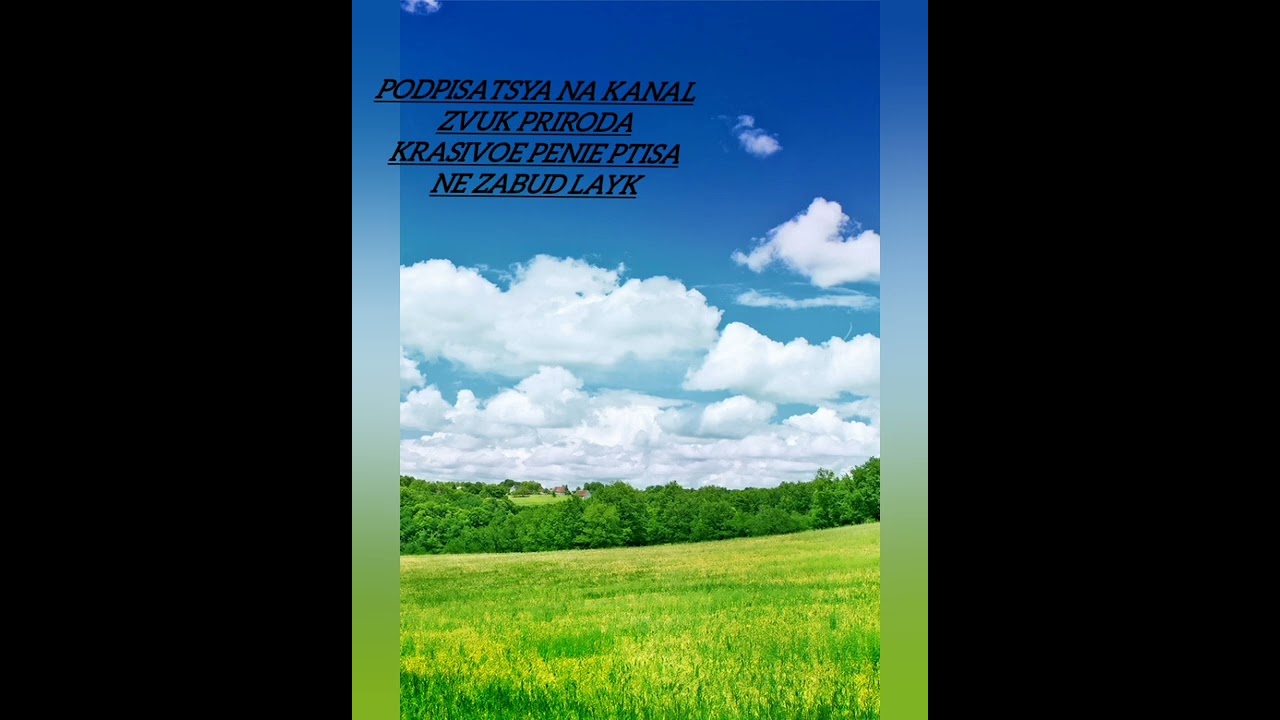 звук природа красивая питц