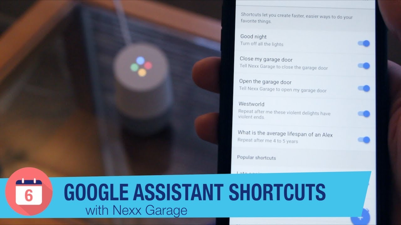 Skr&oacute;ty Asystenta Google w Nexx Garage