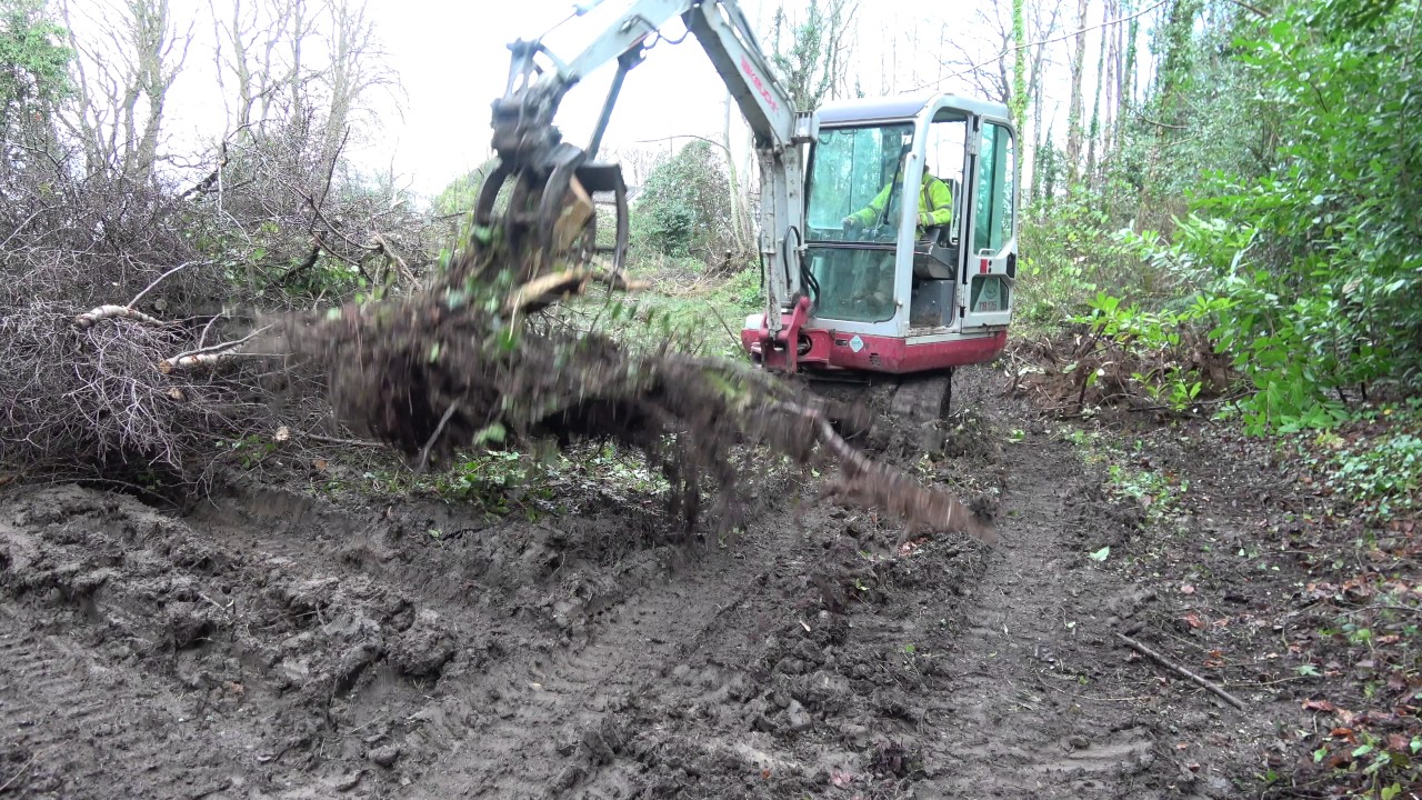 Woodland work with the Takeuchi TB125