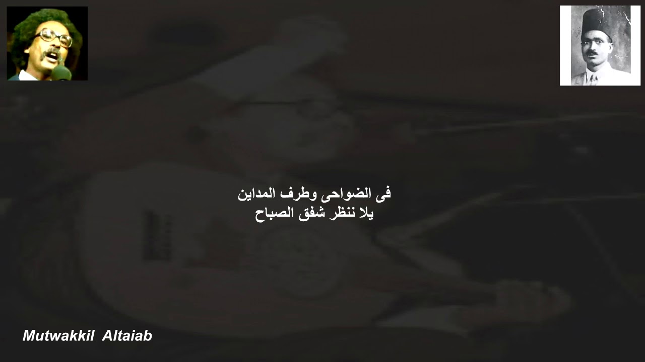 فى الضواحى