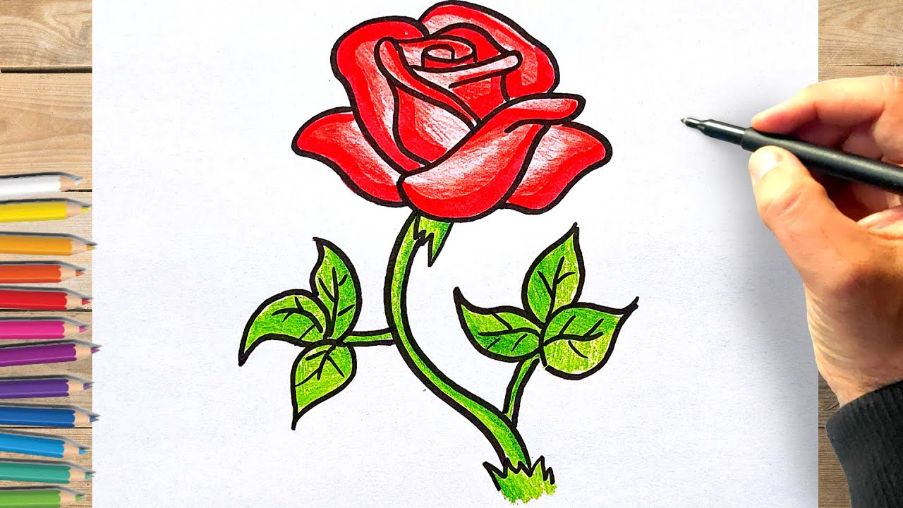Tuto comment dessiner une rose rouge facilement pour débutant