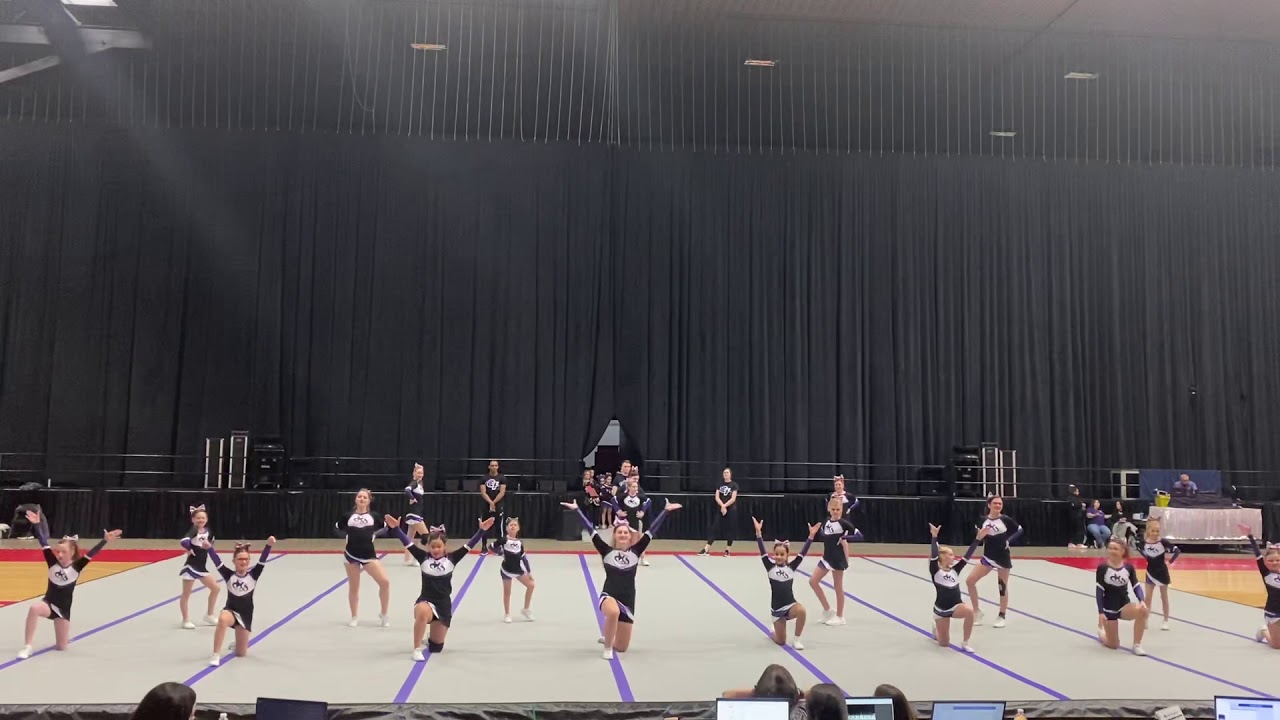 Niles Elite Pink D5 1st place!! Fall state 2019!!!