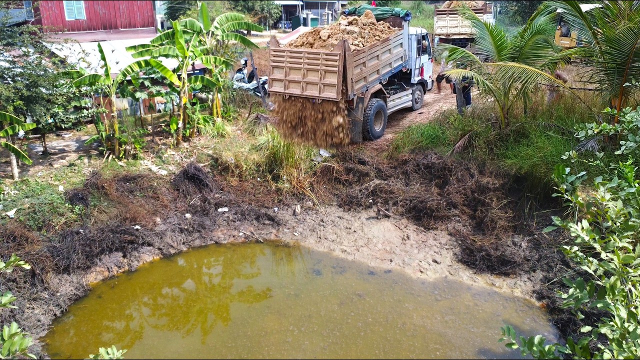 First Start Amazing PROJECT!! Filling Land Delete Useless Deep Pond Use Strong Dozer & 5Ton Truck.
