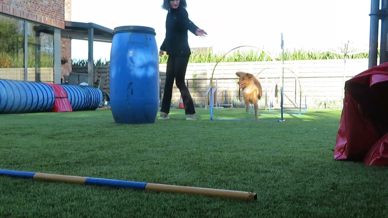 Hoopers taak 1 Hooper + ton aanleren