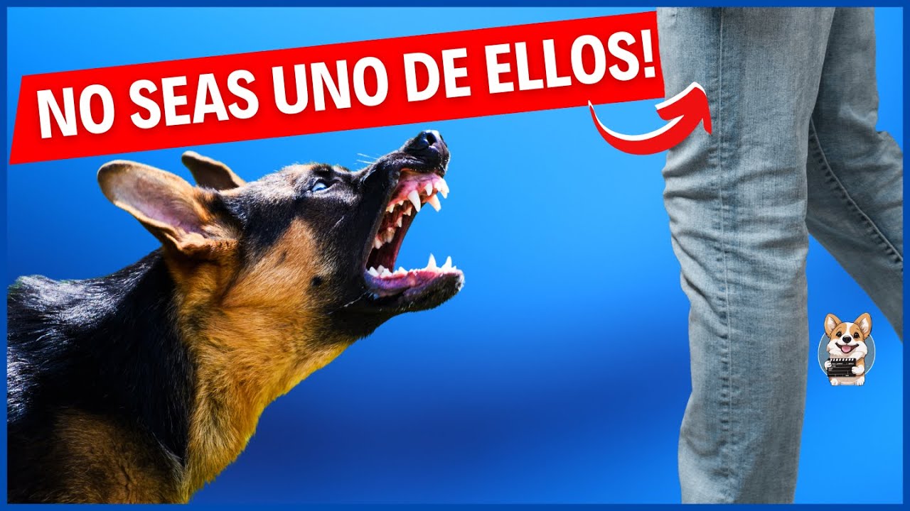 7 tipos de personas que desagradan a los perros🐶
