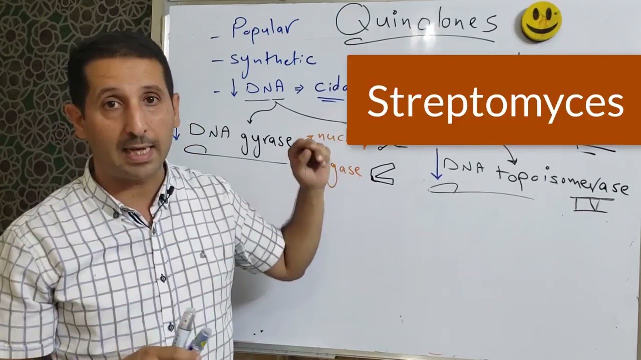 Antibiotics (10). Quinolones e.g.  Ciprofloxacin