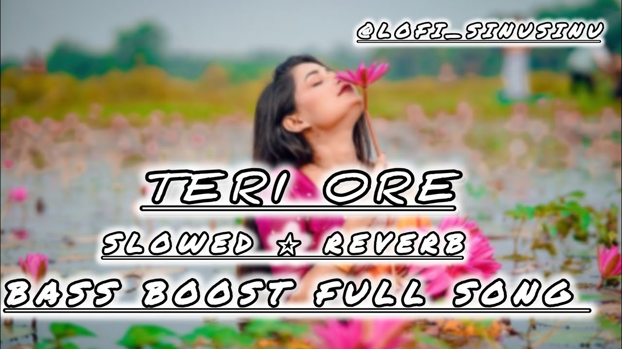 ​𝐝𝐢𝐥 𝐤𝐡𝐨 𝐠𝐚𝐲𝐚... | Teri Ore (Slowed + Reverb) 🎧🌌