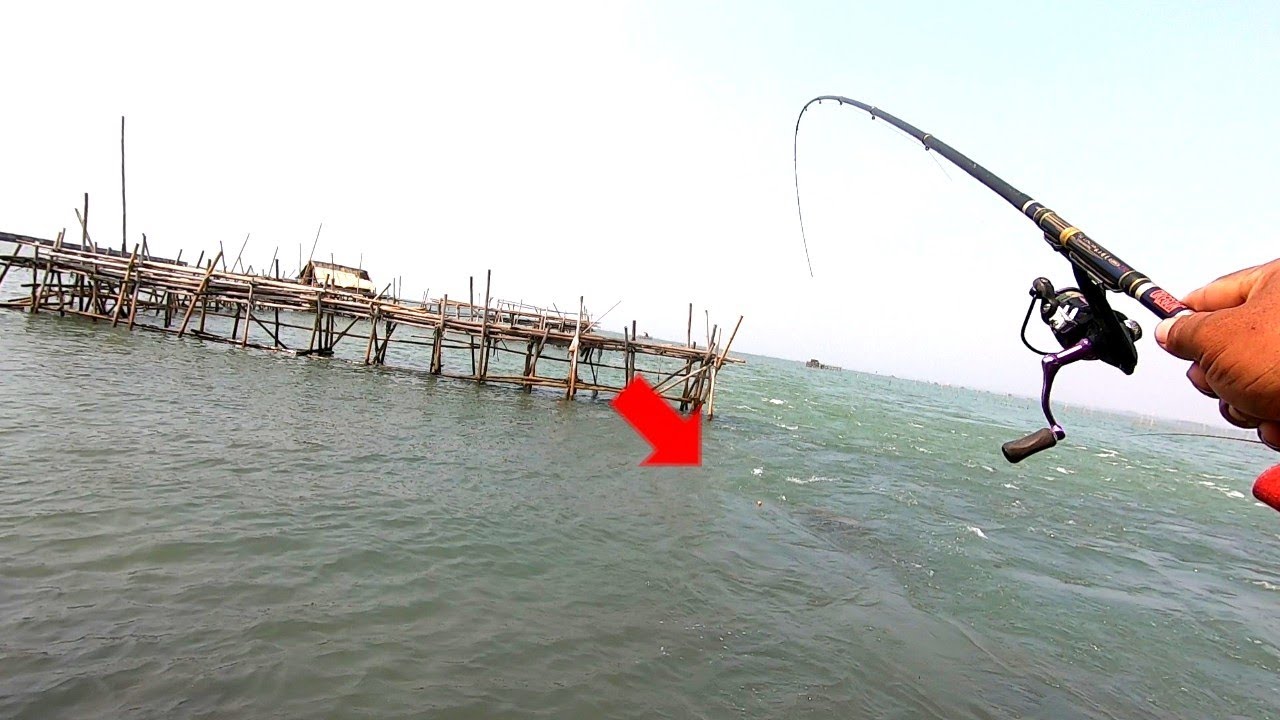 SERU‼️MANCING BARONANG PINGGIRAN PAKAI UMPAN LUMUT