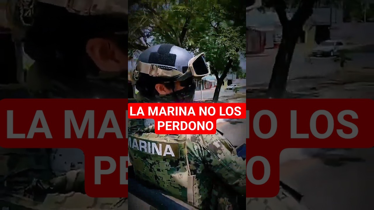 Fui PARTE de el CÁRTEL del NORESTE y ESTO fue lo que VIVÍ...