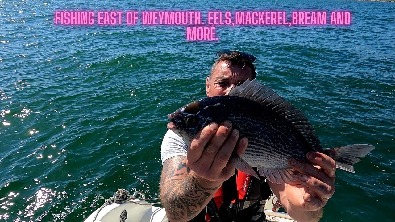 Fishing Adventure East of Weymouth – Big Bream, Slippery Eels & Mackerel Frenzy #fishing #seafood