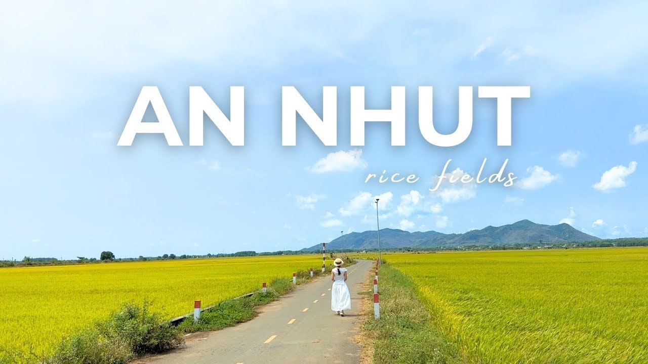 [4K] Поле с японской атмосферой во Вьетнаме — рисовое поле Аннят | Район Лонгдьен, Вунгтау