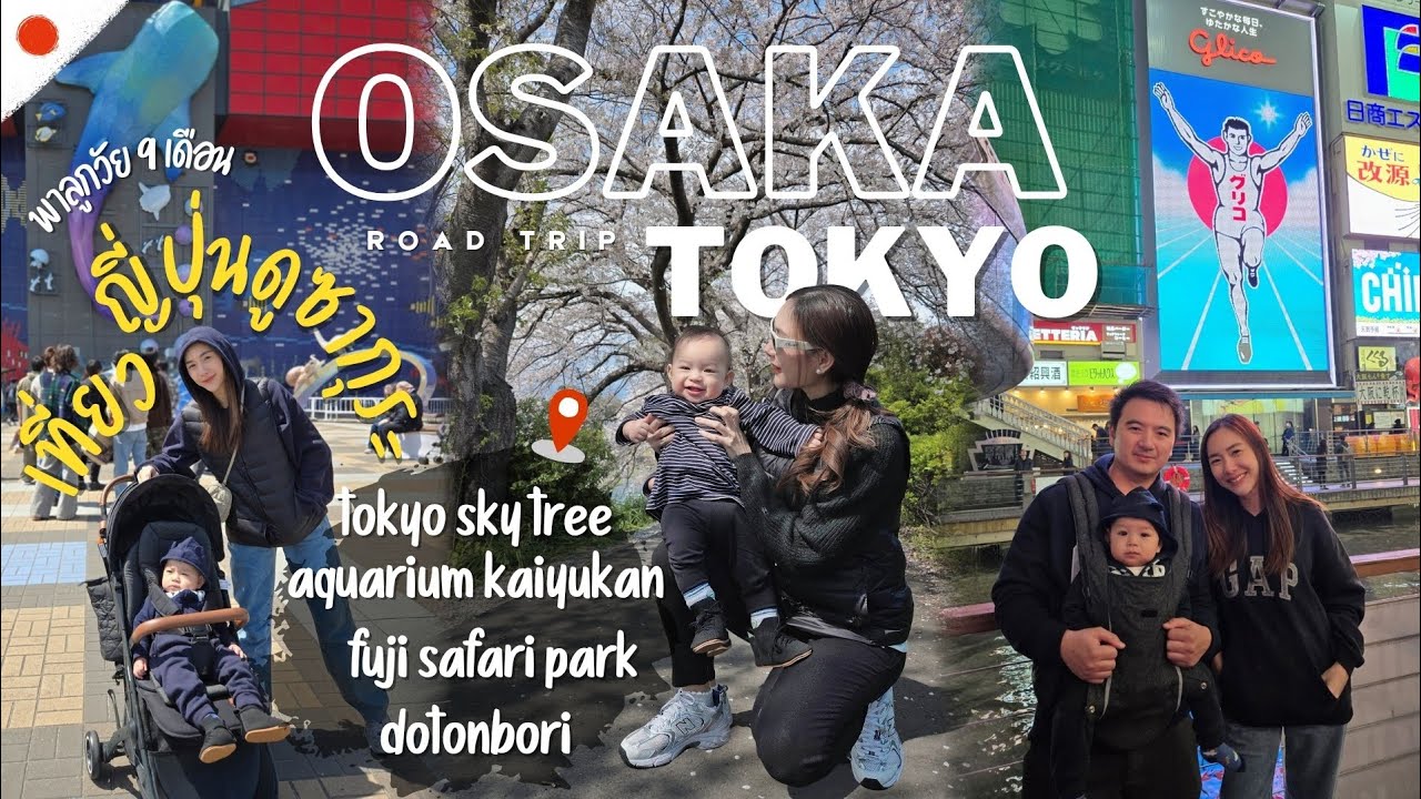 Road trip Osaka-Tokyo พาลูกวัย 9 เดือนเที่ยวญี่ปุ่นดูซากุระ