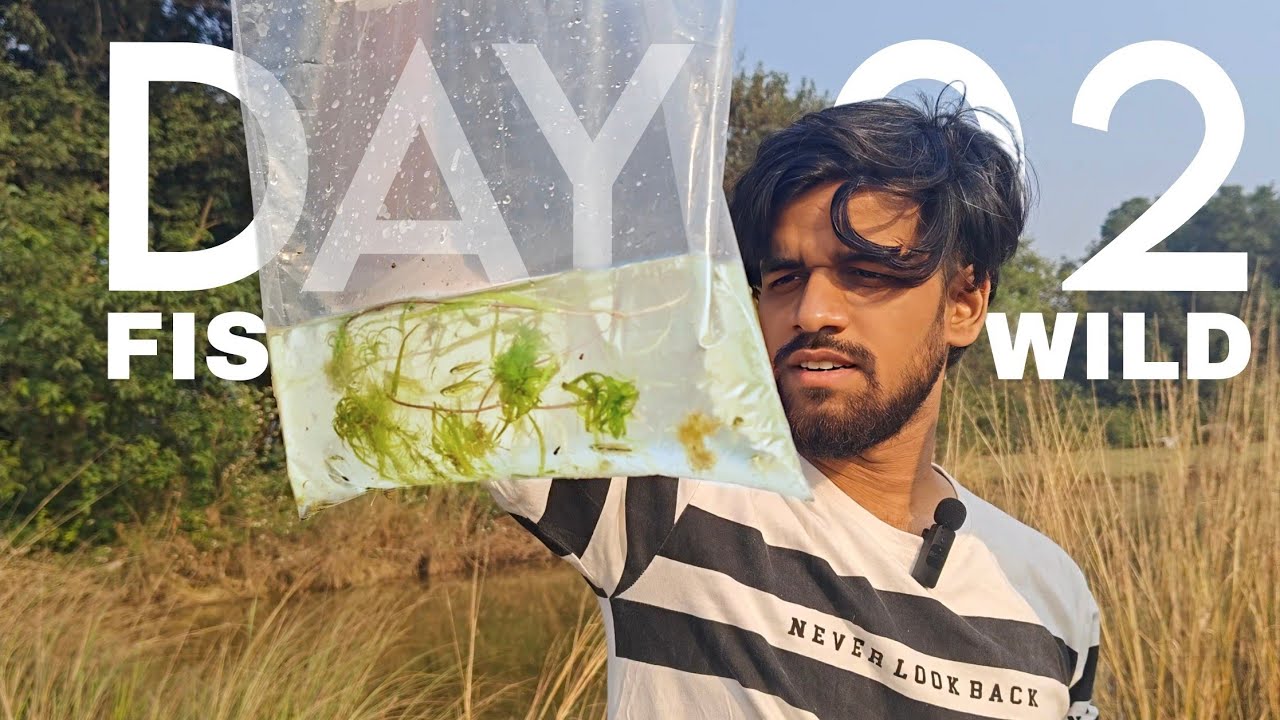 (DAY- 2) I Caught Small Freshwater Fish While Fishing In The Wild [ WINTERS ARK VILLAGE ]