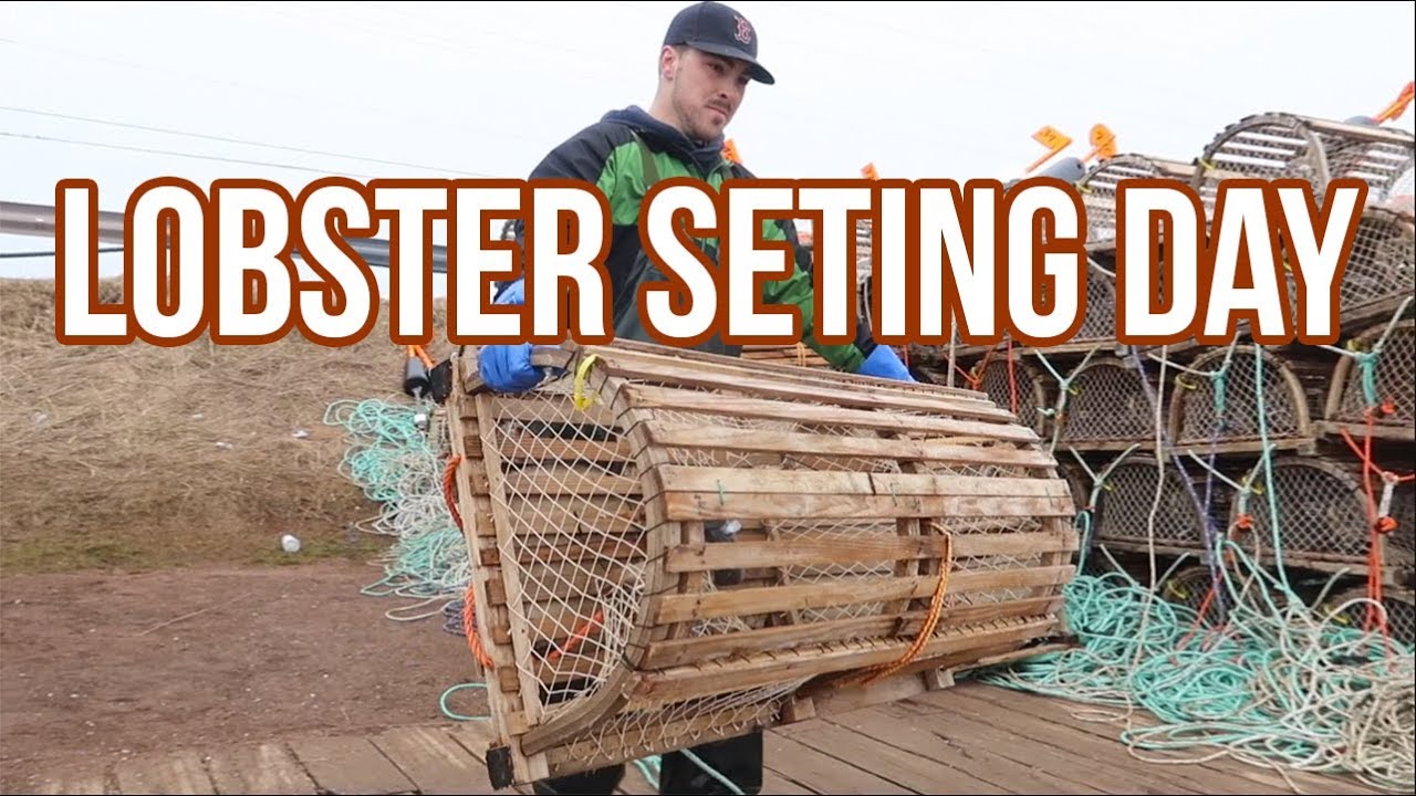PEI LOBSTER SETTING DAY