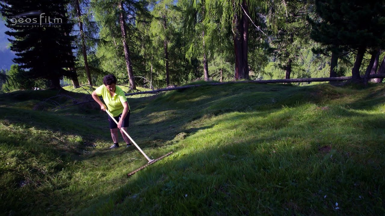 The mountain farmer woman from Val Badia