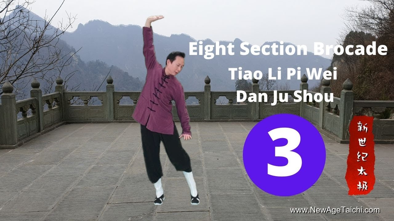 Ba Duan Jin 03 (Eight Section Brocade): Tiao Li Pi Wei Dan Ju Shou