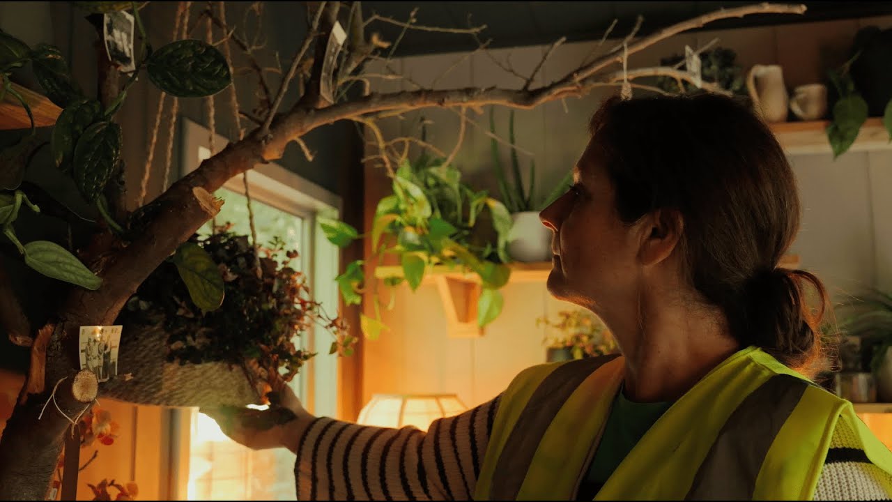 The Making of the House Plant Studios 2025