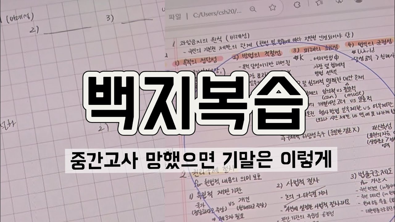 시험기간에 봐야 하는 영상