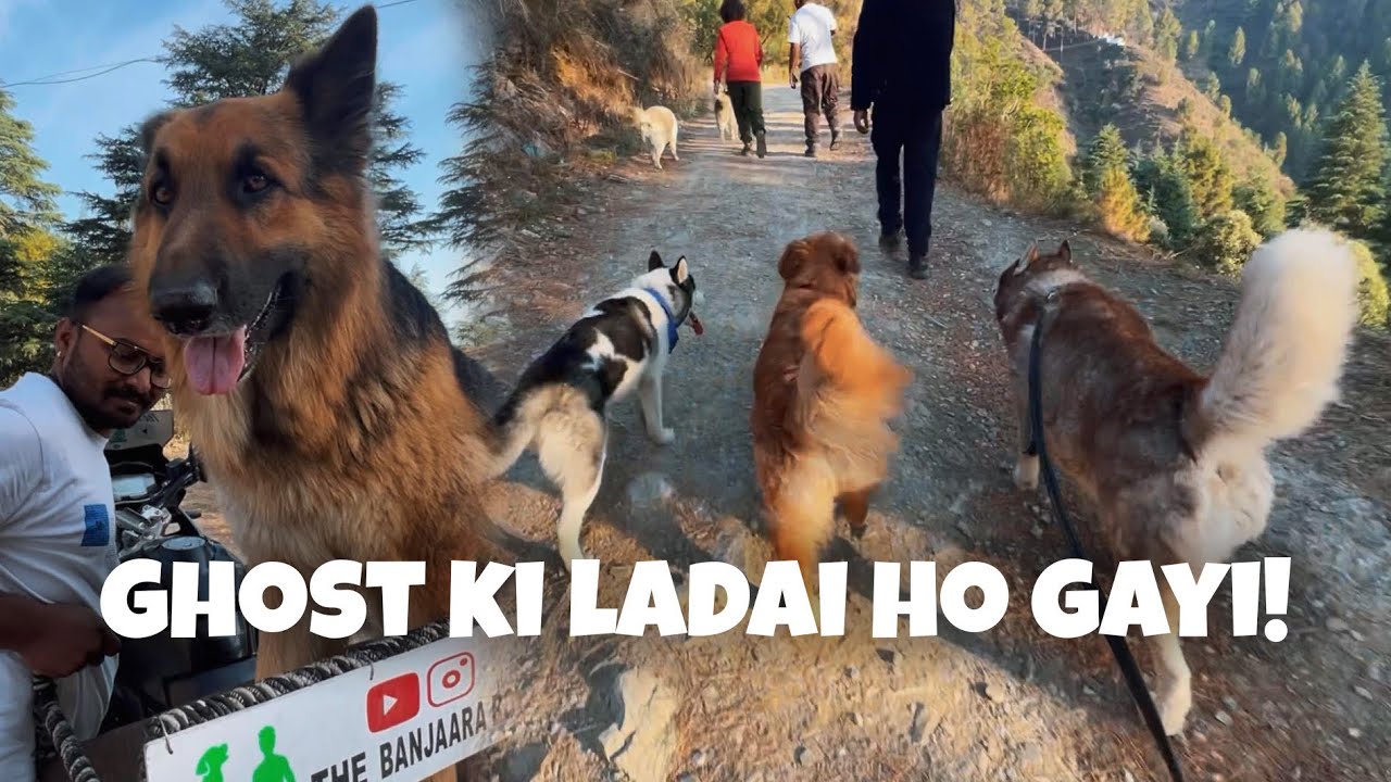 @TheBanjaaraBoy  se milte hi ladai ho gayi ghost ki 😰😥