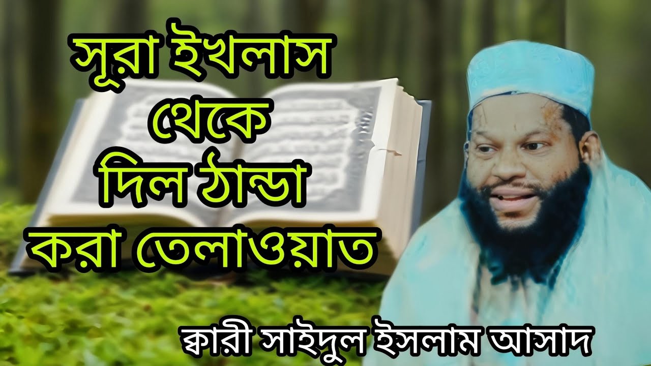 সূরা ইখলাস থেকে দিল ঠান্ডা  করা তেলাওয়াত। বিশ্ব বিখ্যাত কারী সাইদুল ইসলাম আসাদ।