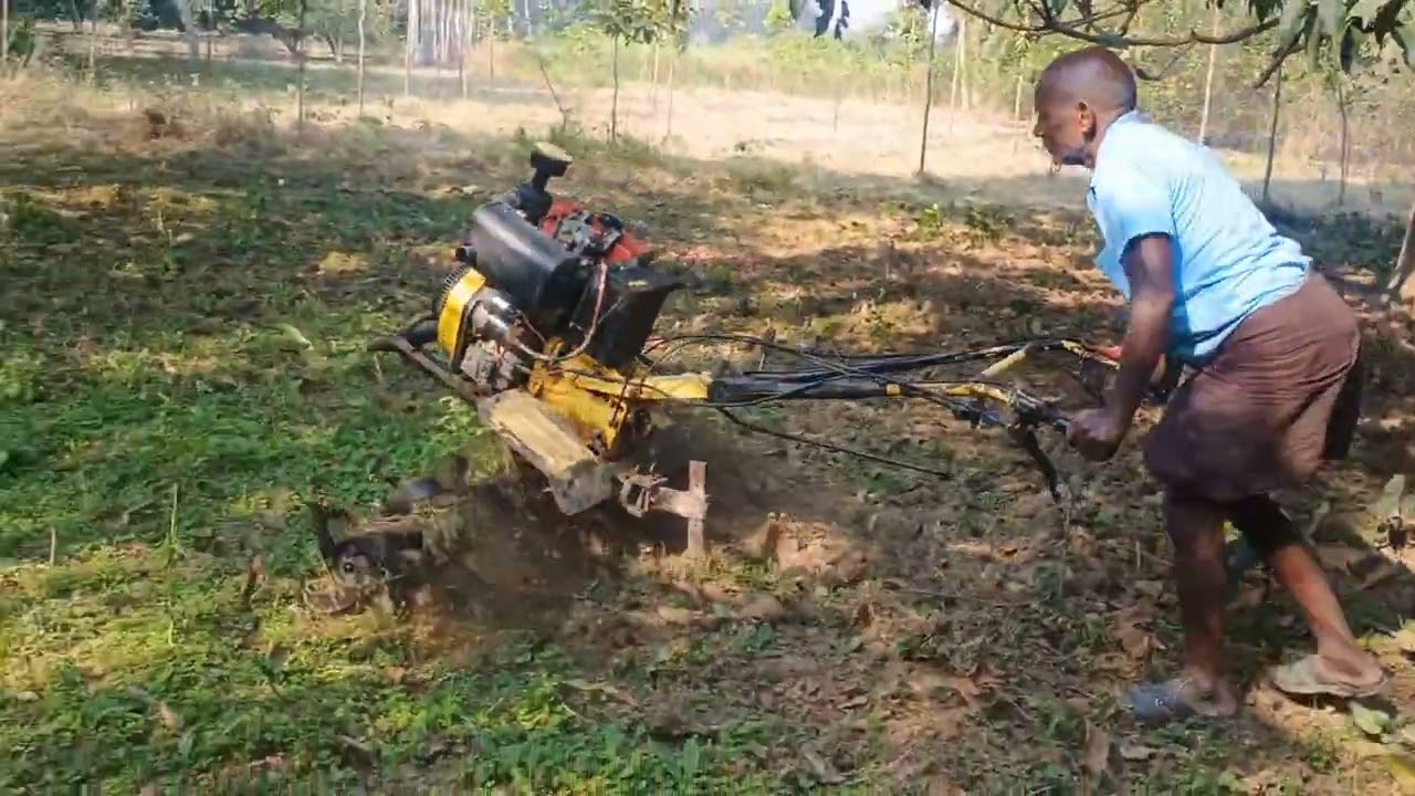 মিনি ট্রাক্টর দিয়ে আম বাগান চাষ|power weeder|power triller 