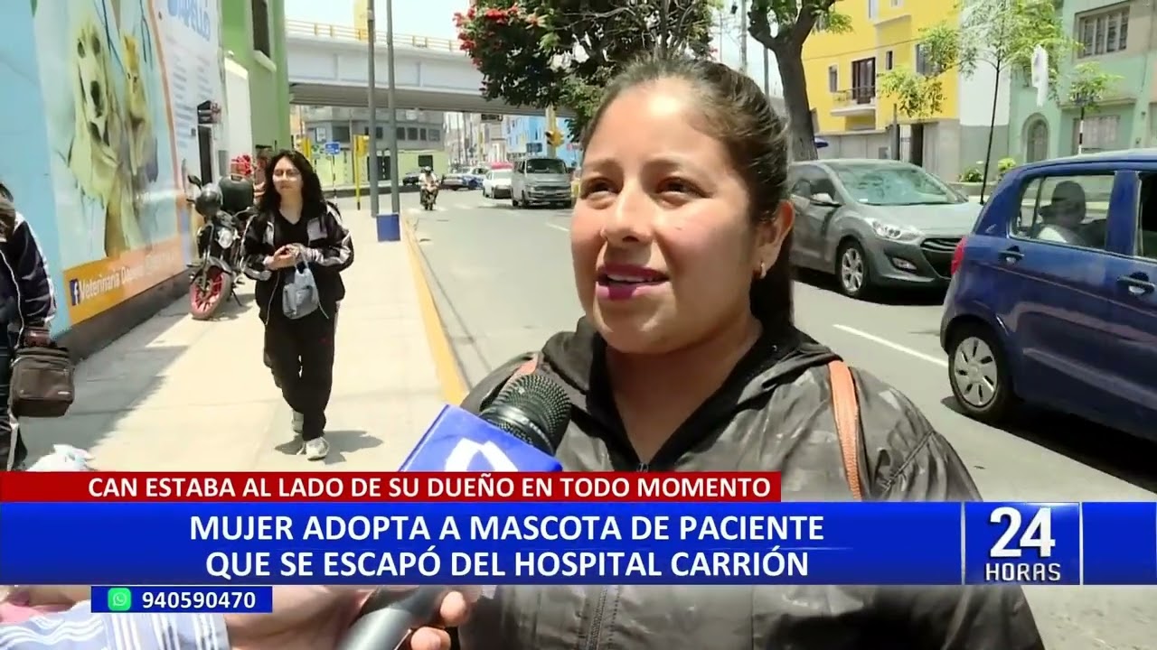 Piden ayuda para perrito que acompañó a paciente desahuciado en el Hospital Carrión del Callao