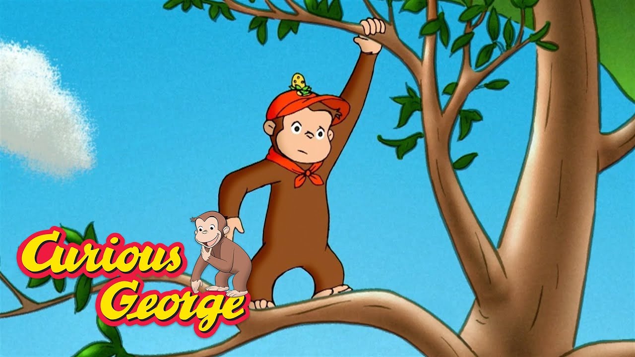 George gets lost in the woods  🐵 Curious George 🐵 Kids Cartoon 🐵 Kids Movies