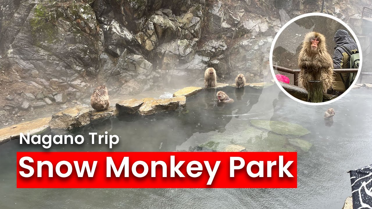 Winter Vibes & Monkey Baths: Exploring Nagano Like a Local