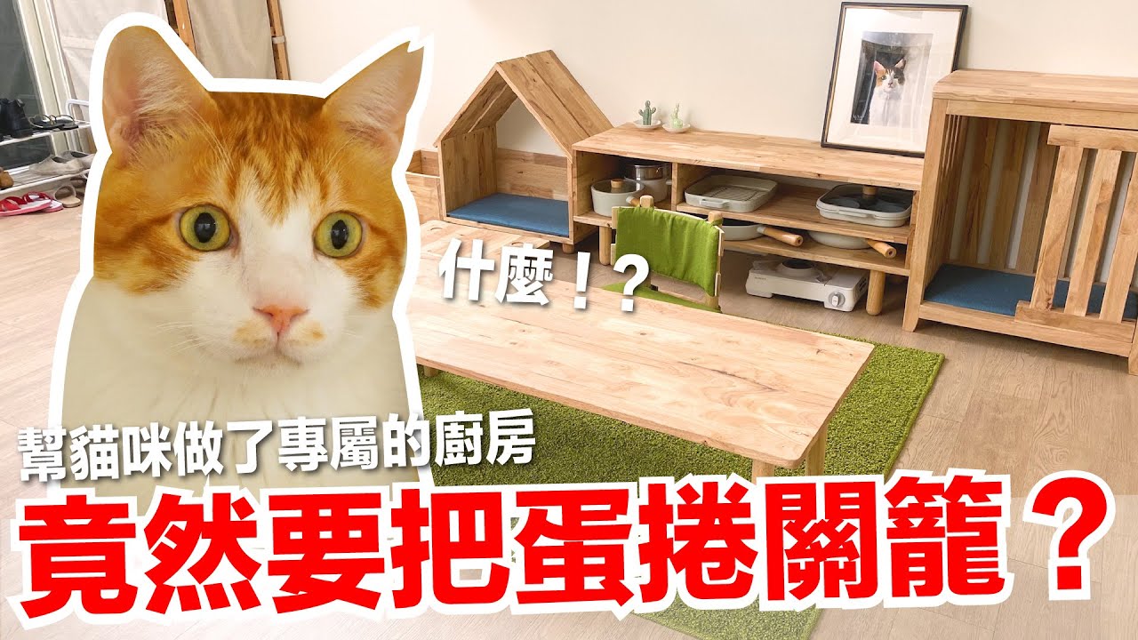 【好味小姐】竟然把蛋捲關起來！？還特別準備新籠子？｜好味貓日常EP93