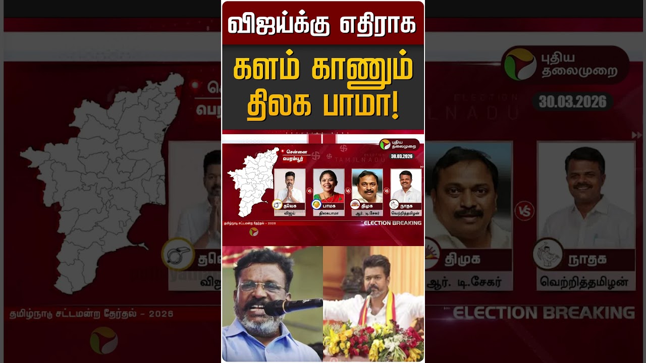 விஜய்க்கு எதிராக களம் காணும் திலக பாமா! | Thilaga Bama | TVK Vijay | PMK | Thirumavalavan | VCK