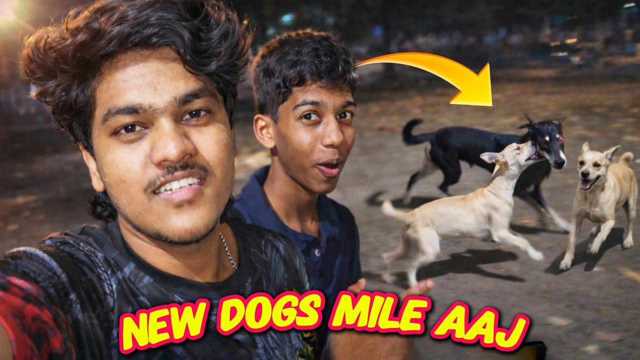 New dogs mile aaj 😍