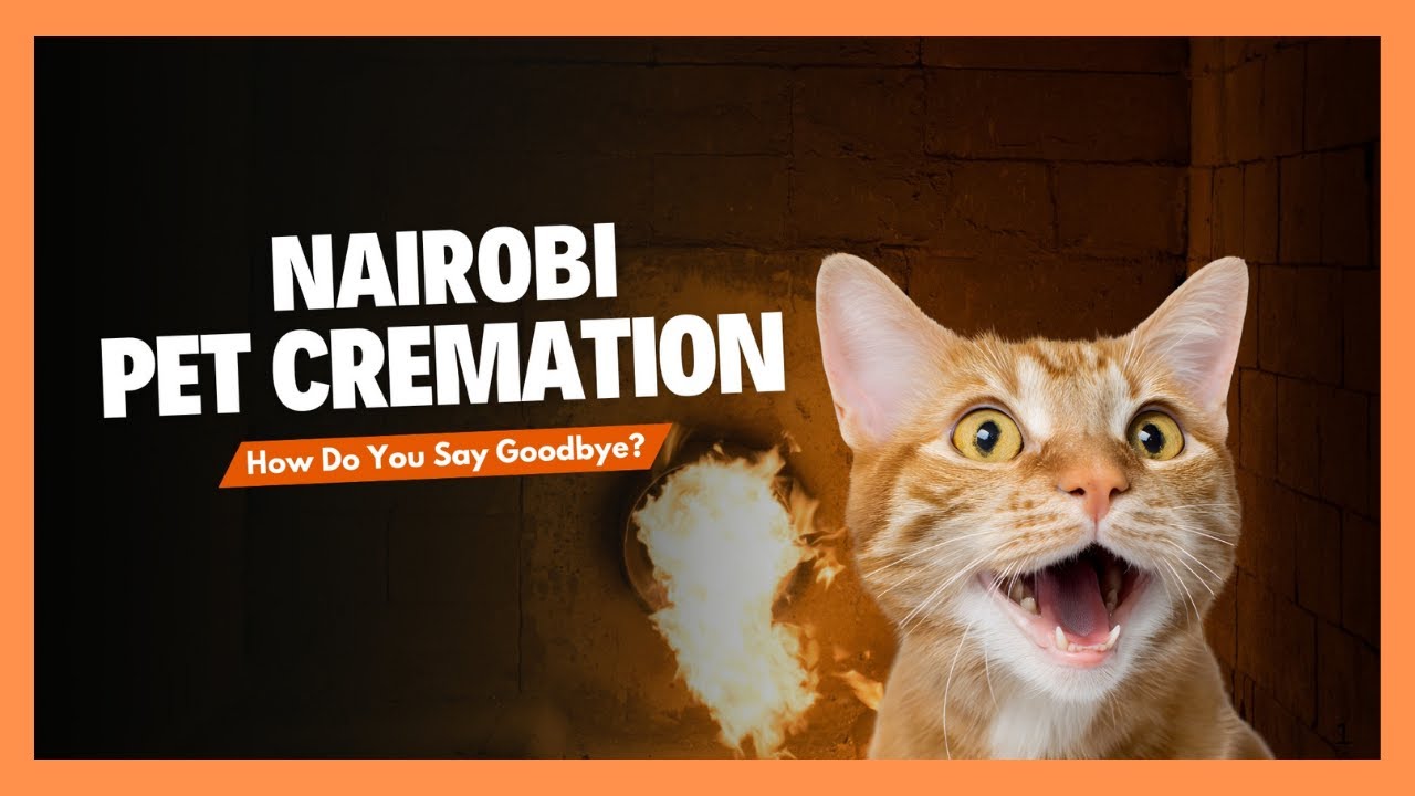 Inside a Pet Crematorium in Nairobi
