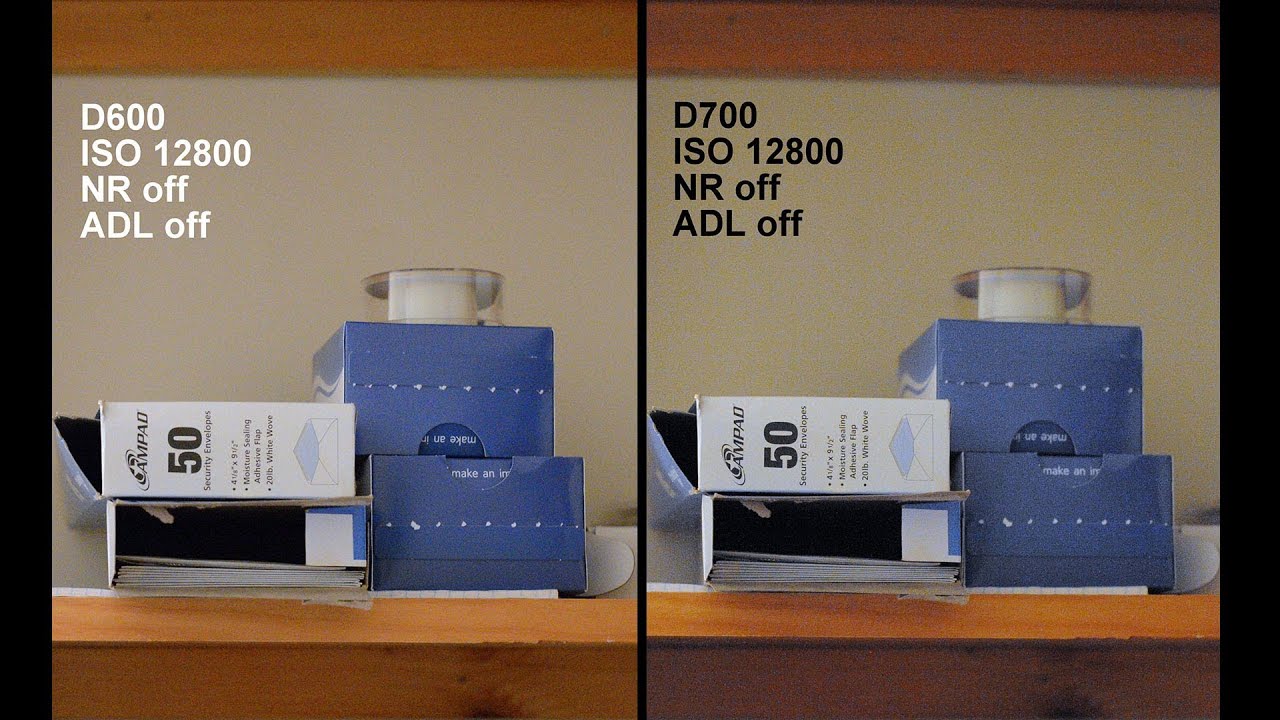 Nikon D600 vs. D700: ISO noise, dynamic range, AF, shutter sound, video mode